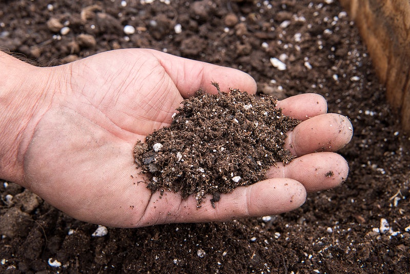 How to Sterilize Soil with Chemicals