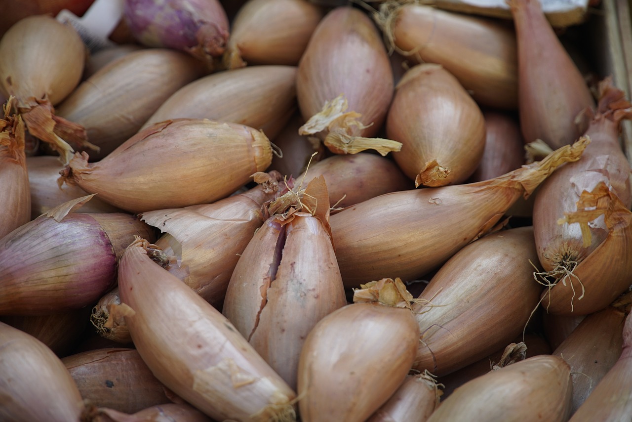 Do You Split Shallots Before Planting