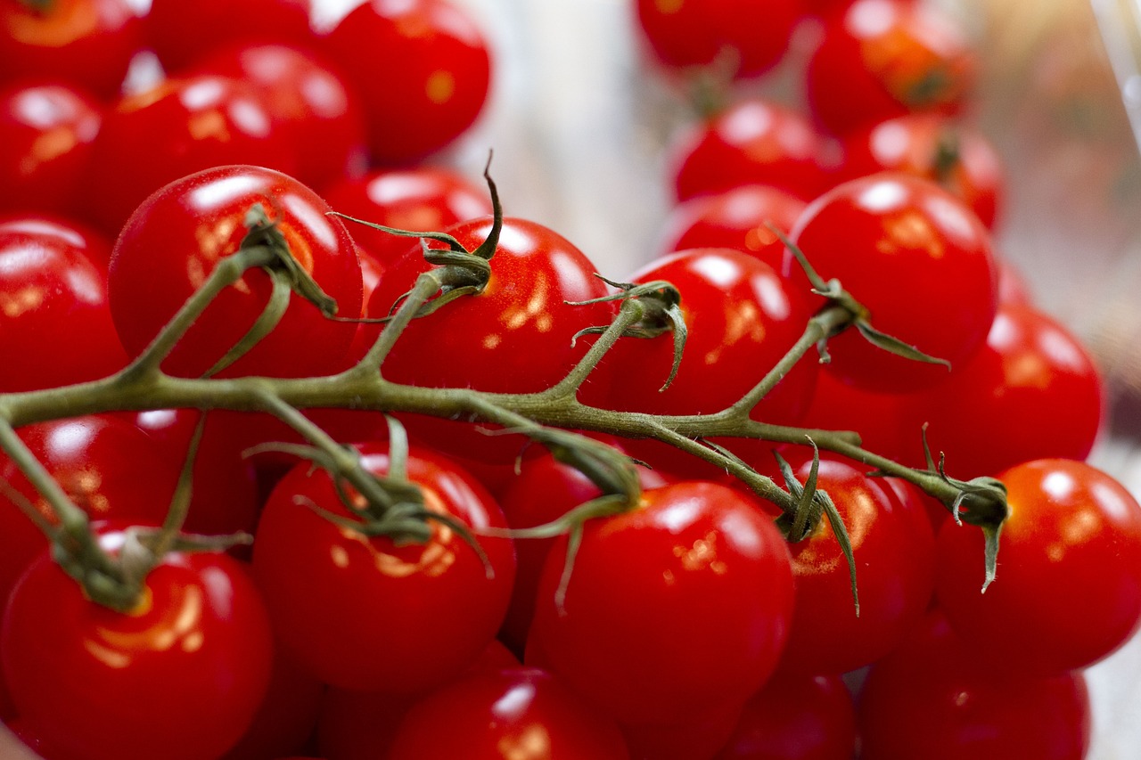 When to Harvest Grape Tomatoes